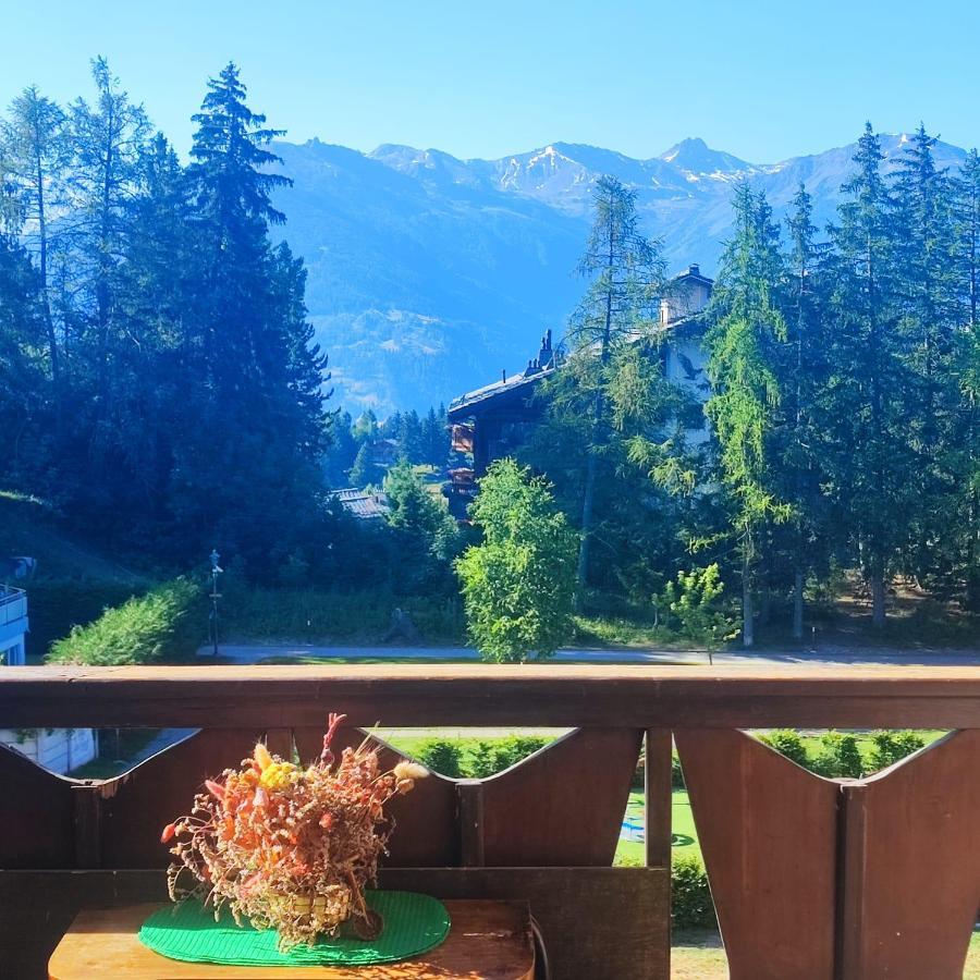 Bellevue Apartment Crans-Montana